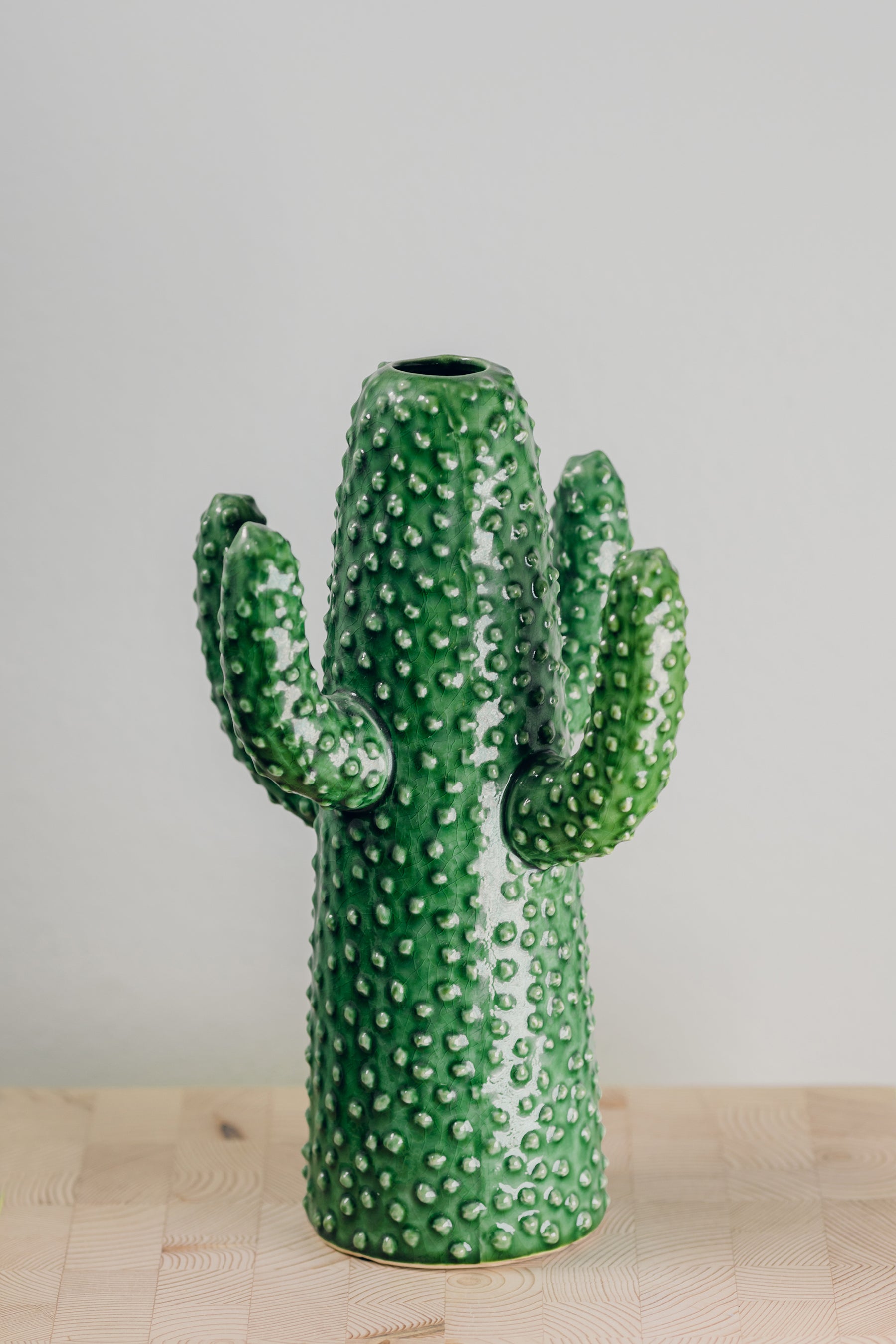 Mesa Cactus Vase